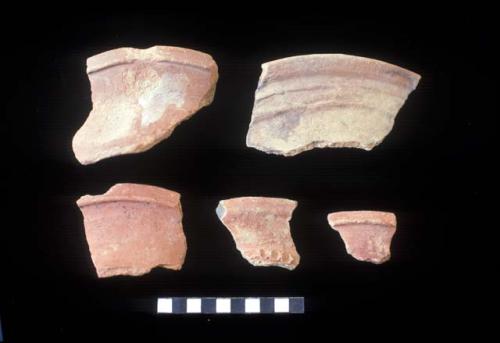 Jar rim sherds from Site 110