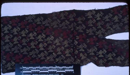 Tunic?, supplementary weft