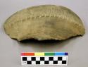 Ceramic rim sherd of a jar, incised, linear design, brown.