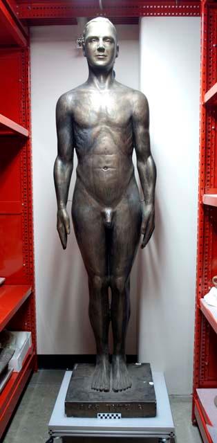 Plaster cast of human male