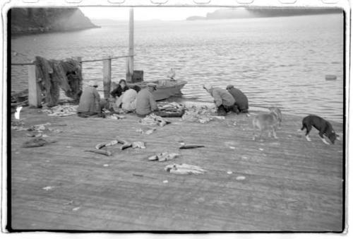 People on dock with fish