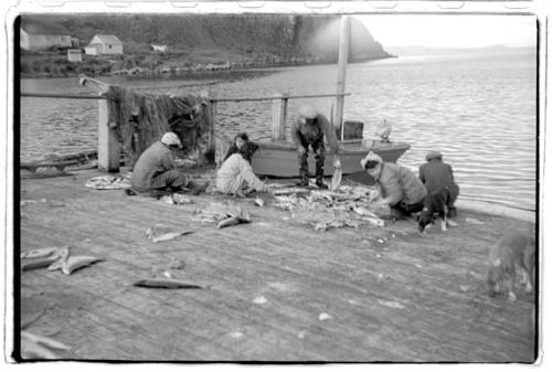 People on dock with fish