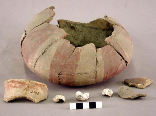 6 pottery bowl sherds with red stripes; 3 small white shells