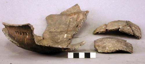 Ceramic rim and body sherds, plain, shell temper, mended, notched rim