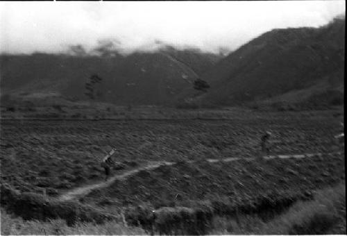 Women travelling to salt wells