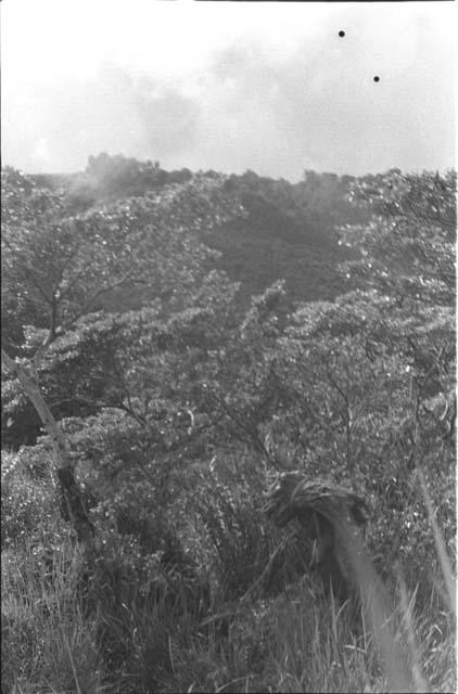 Women travelling to salt wells