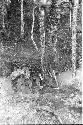 Women and children crossing river