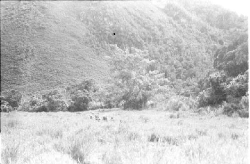 Women travelling to salt wells