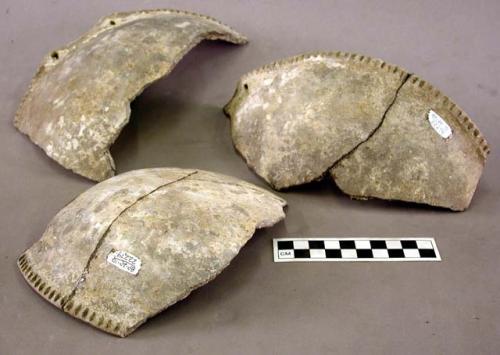 Bowl fragments with indented rim pattern