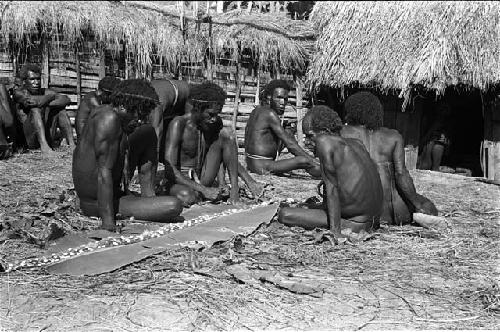 Men examine cowrie shells