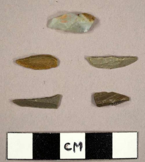 5 chert backed bladelets (awls)