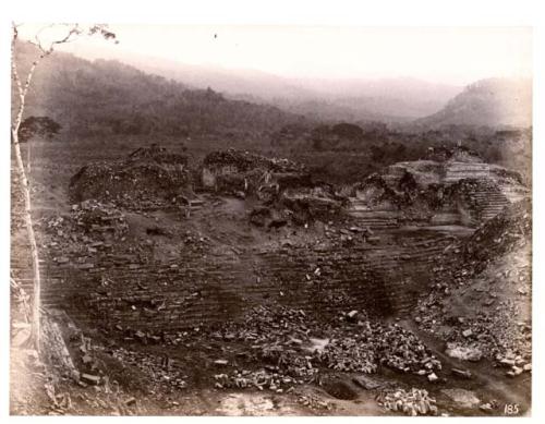 View from Top of Pyramid 16, looking N.E. Temple 22 at Left of Picture...