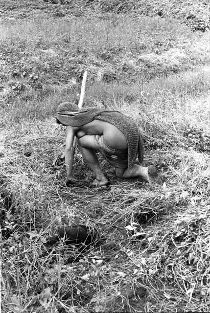 Woman bending to clear grass