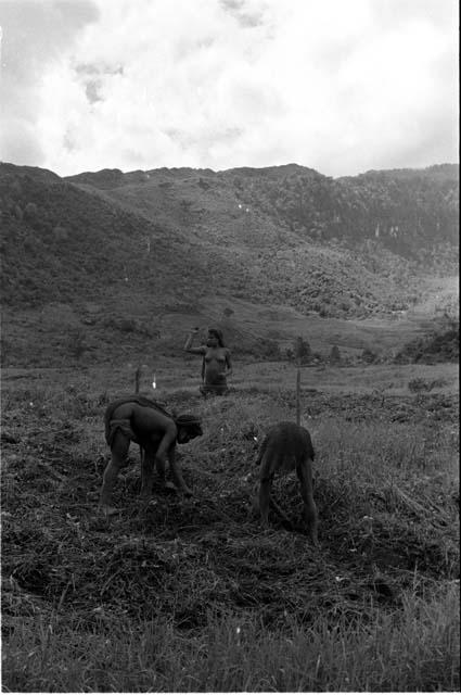 3 women working