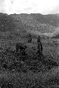 3 women working in the fields