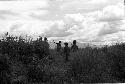 Boys walking towards Wololumo