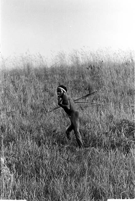 Aloro walking through tall grass