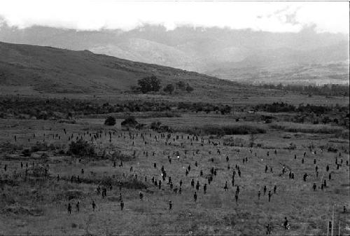 Towards the south from the Warabara