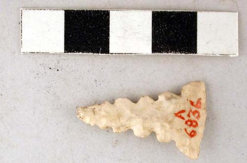 Chipped stone projectile point, triangular, serrated edges