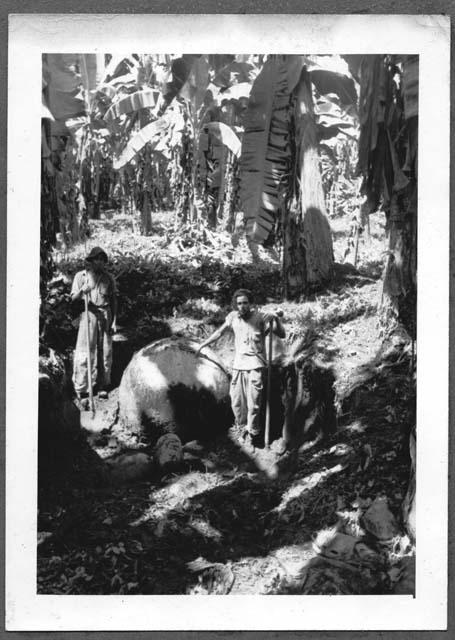 Two men standing in excavation unit next to stone ball B