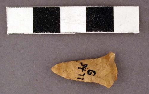 Chipped stone projectile point, corner-notched, stem missing