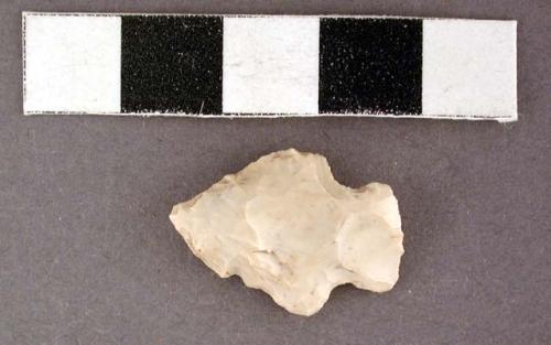 Chipped stone projectile point, side-notched bifurcate base