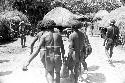 large pig being carried to in front of the honai where is laid out and butchered