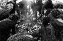 hands in the haksé digging out the hot potatoes