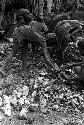 potatoes being put down inside the haksé