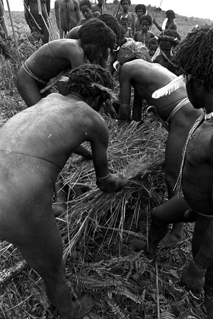 Eken Buken being covered up with grass