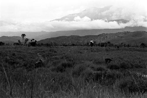 two warriors sneaking towards the Warabara