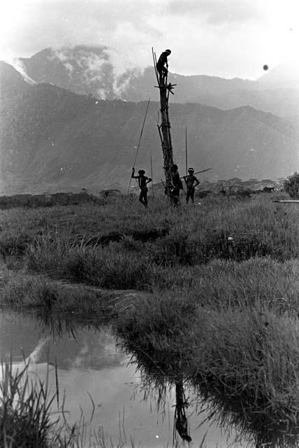 Warriors at the central knoll of the Warabara