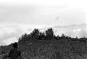 warriors crouching trying to stay hidden while working their way up to the top of the knoll of the Warabara