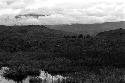 men crossing the swamp towards the Warabara