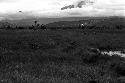 men crossing the swamp towards the Warabara