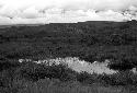 3 warriors crouched and walking in the swamp towards the Warabara