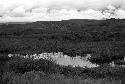 3 warriors crouched and walking in the swamp towards the Warabara