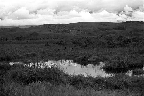 3 warriors crouched and walking in the swamp towards the Warabara