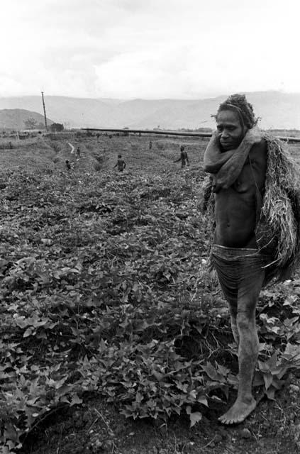 a woman in the fields; men racing out towards the war