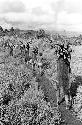 women carrying loads of wood on their heads towards Abukupak from the north