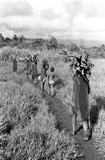 women carrying loads of wood on their heads towards Abukupak from the north