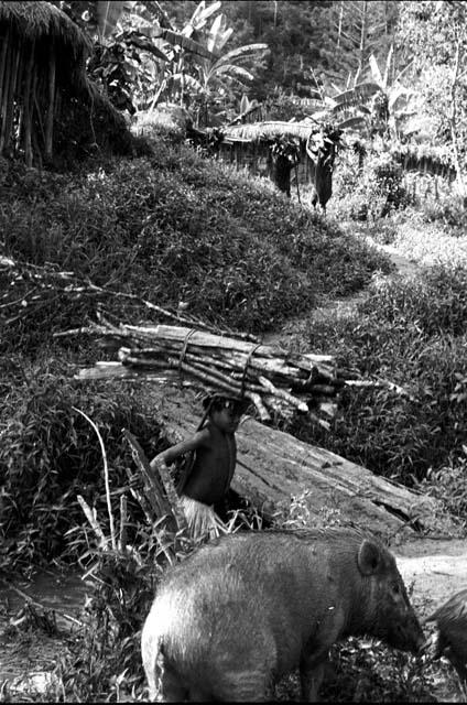 women with wood entering the sili of Abulupak