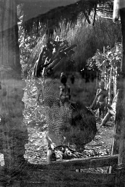 Michael Rockefeller negatives, New Guinea