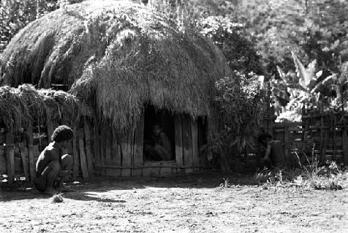 Michael Rockefeller negatives, New Guinea