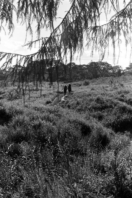 Michael Rockefeller negatives, New Guinea