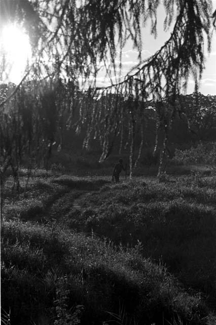 figure walking in the evening along the trail outside of Homoak