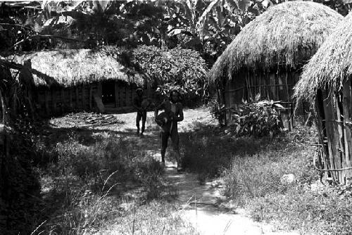 men are bringing pigs to the sili