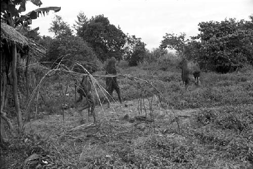 women going to the fields