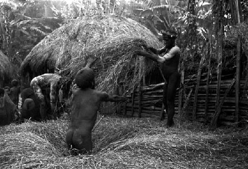 Michael Rockefeller negatives, New Guinea