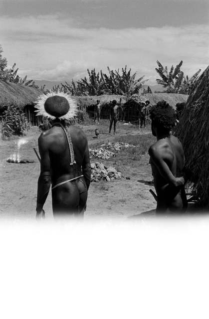 men carrying pigs that have just been shot to be butchered